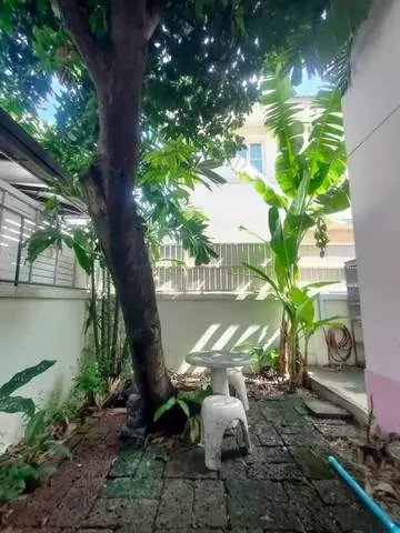 Mantana Rama 9