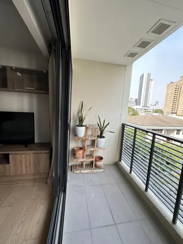 Runesu Thonglor